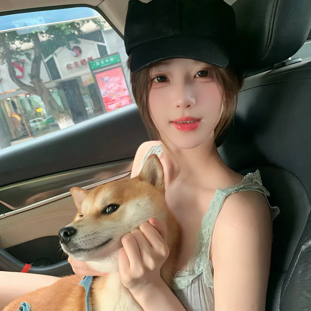 野鸭变凤凰