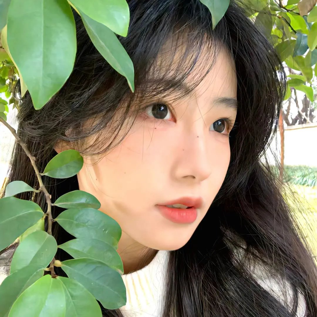 大师之手